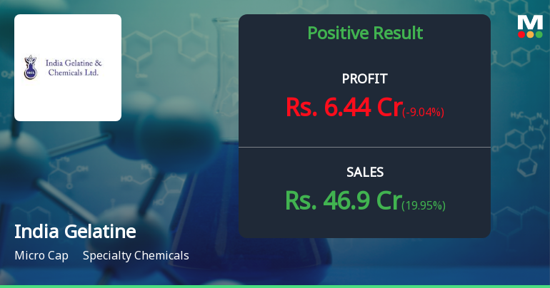 India Gelatine & Chemicals Q2 FY26: Profit Surge Masks Margin Volatility Concerns