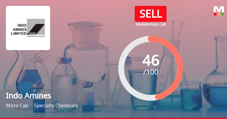 Indo Amines Sees Revision in Market Evaluation Amid Specialty Chemicals Sector Challenges