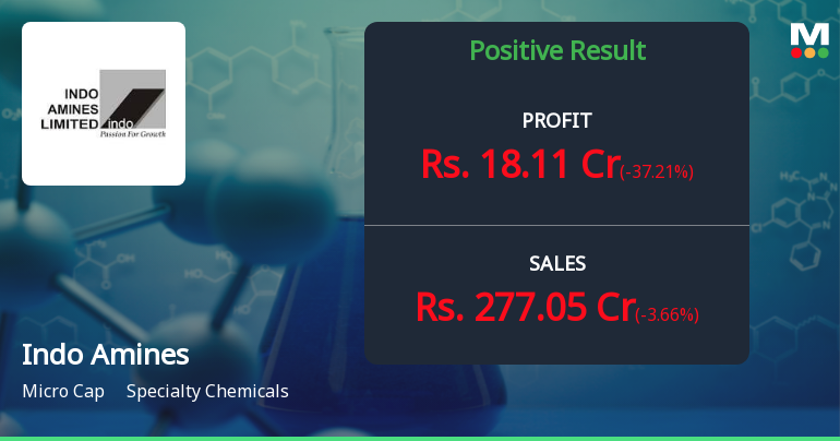 Indo Amines Q2 FY26: Strong Profit Surge Masks Underlying Concerns