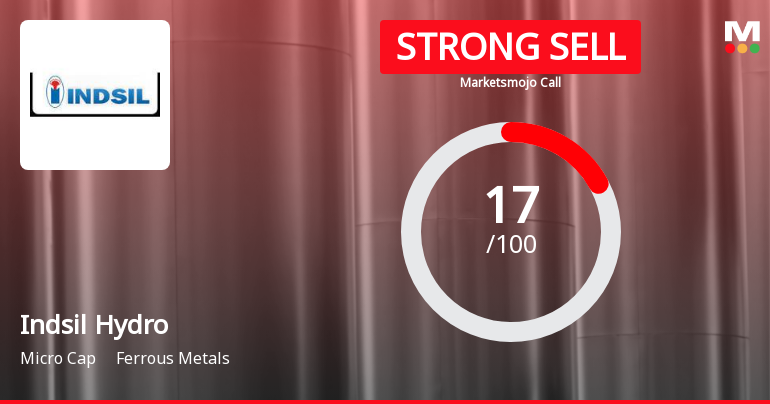 Indsil Hydro Power Faces Financial Challenges Amid Shift in Market Outlook