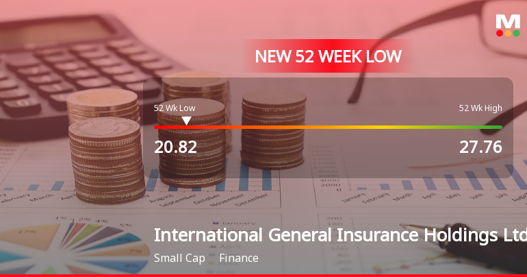International General Insurance Holdings Hits New 52-Week Low at $20.82
