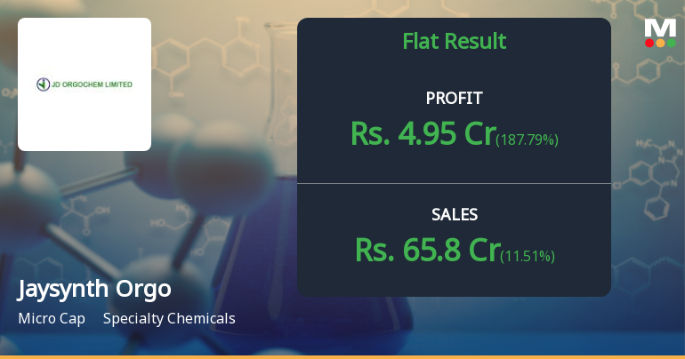JD Orgochem Q2 FY26: Profit Surge Masks Underlying Concerns