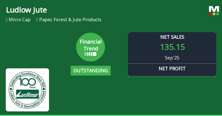 Ludlow Jute & Specialities Reports Strong Operational Metrics Amid Cash Flow Challenges