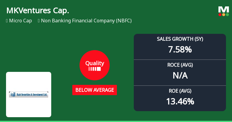MKVentures Capital Quality Parameter Change: An Analysis of Business Fundamentals