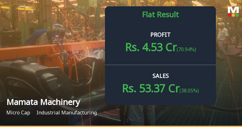 Mamata Machinery Q2 FY26: Profitability Surges Despite Revenue Volatility