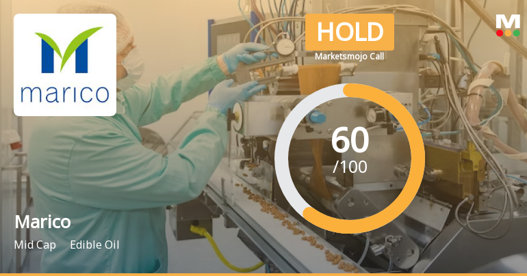 Marico’s Evaluation Revised Amid Mixed Financial and Market Signals