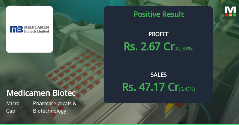 Medicamen Biotech Q2 FY26: Profit Surge Masks Deeper Margin Concerns