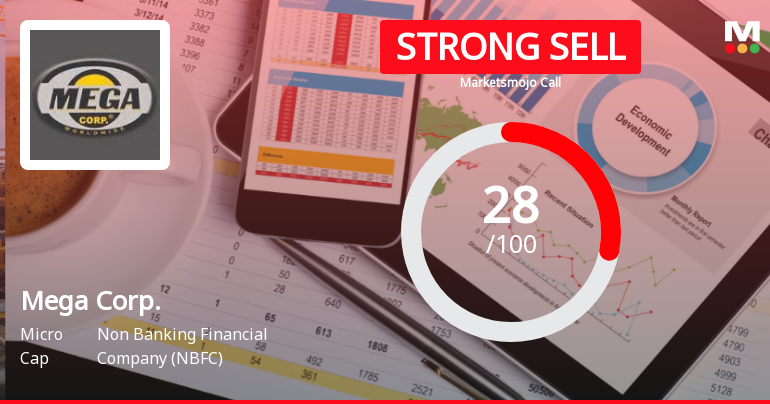 Mega Corporation: Analytical Revisions Reflect Mixed Signals Across Key Investment Parameters