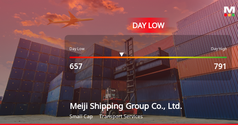 Meiji Shipping Group Hits Day Low at JPY 657 Amid Price Pressure