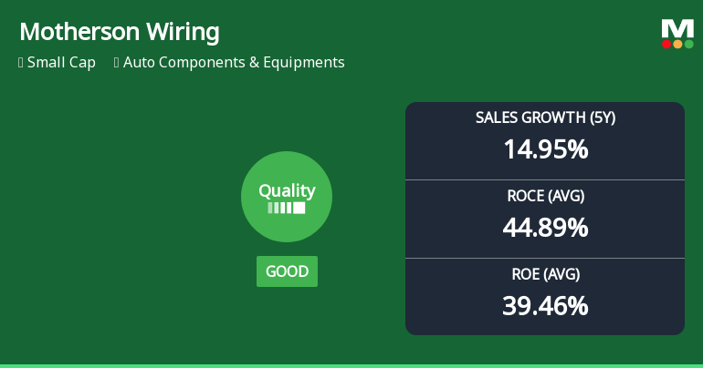 Motherson Sumi Wiring India: Analytical Review of Business Fundamentals Amid Evaluation Adjustment
