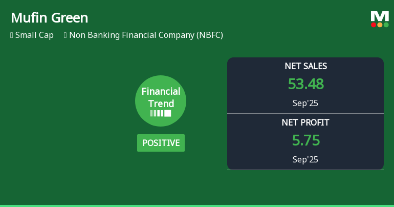 Mufin Green Finance Quarterly Performance Highlights Positive Financial Trend