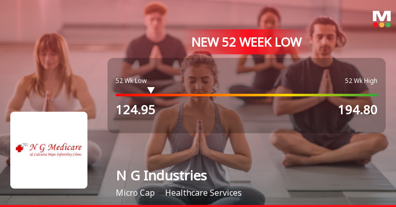 N G Industries Hits New 52-Week Low at Rs. 124.95