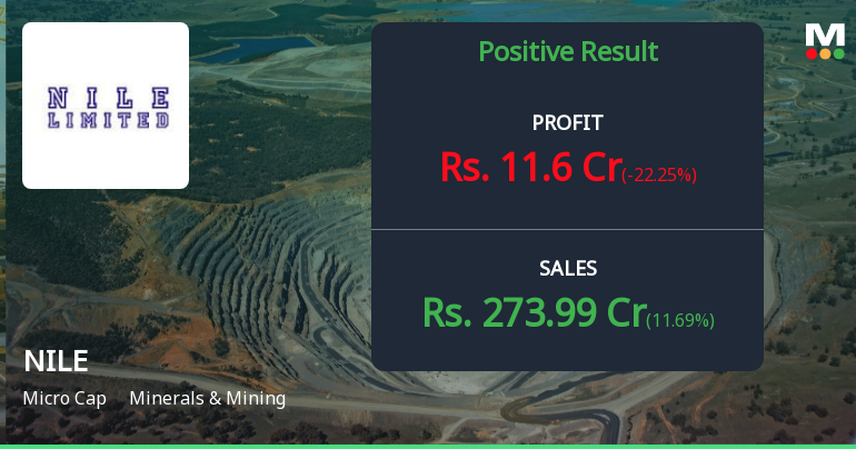 NILE Ltd Q2 FY26: Profit Growth Masks Margin Compression Concerns