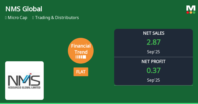 NMS Global Shows Financial Stability Amidst Operational Challenges and Market Resilience