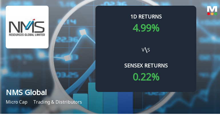 NMS Global Ltd Stock Declines 3.00% Today, Yet Surges 42.39% Over Past Year