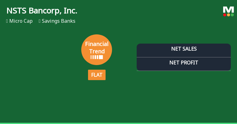 NSTS Bancorp, Inc. Experiences Revision in Its Stock Evaluation Amid Financial Trends