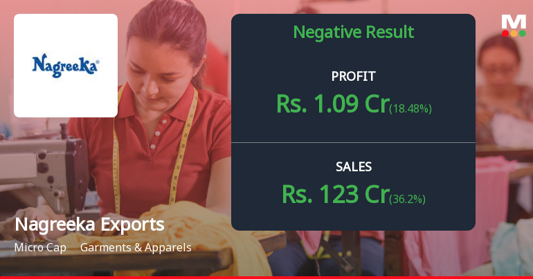 Nagreeka Exports Q2 FY26: Profit Recovery Masks Deeper Revenue Concerns