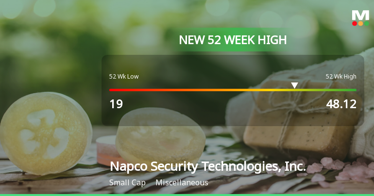Napco Security Technologies Hits New 52-Week High at $48.12