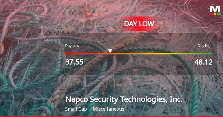 Napco Security Technologies Hits Day Low of $37.55 Amid Price Pressure