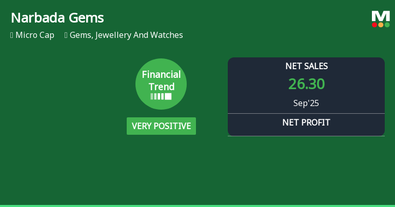 Narbada Gems & Jewellery Quarterly Financial Trend Shows Notable Shift