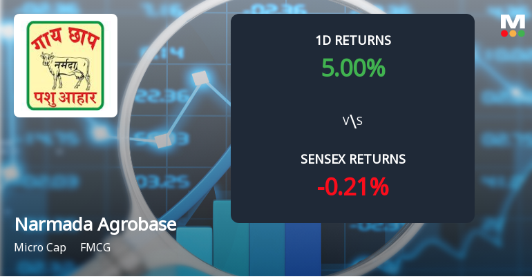 Narmada Agrobase Ltd Surges 5.00% Today, Achieving 47.76% Yearly Gain Amid Market Decline