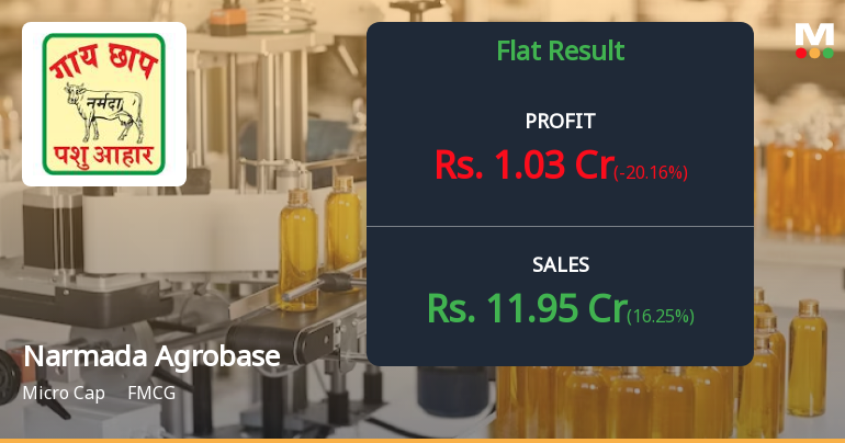 Narmada Agrobase Q2 FY26: Steady Profits Mask Margin Erosion Concerns