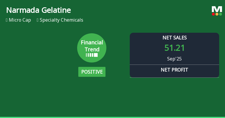 Narmada Gelatines Shows Strong Financial Performance Amid Ongoing Challenges in Operations