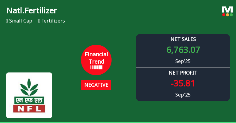 National Fertilizer Faces Profitability Challenges Amidst Strong Revenue Growth