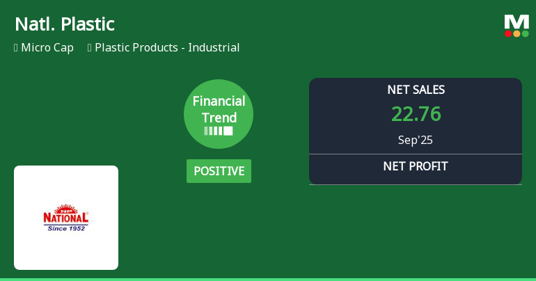 National Plastic Industries Reports Strong Financial Metrics, Indicating Improved Stability and Growth Potential