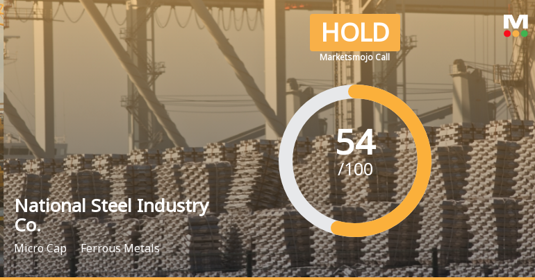 National Steel Industry Co. Faces Mixed Signals Amid Valuation Adjustments and Financial Challenges