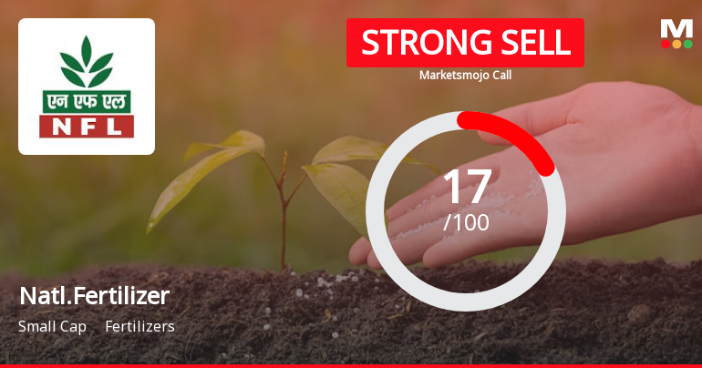 Natl.Fertilizer Sees Revision in Market Evaluation Amidst Challenging Fundamentals