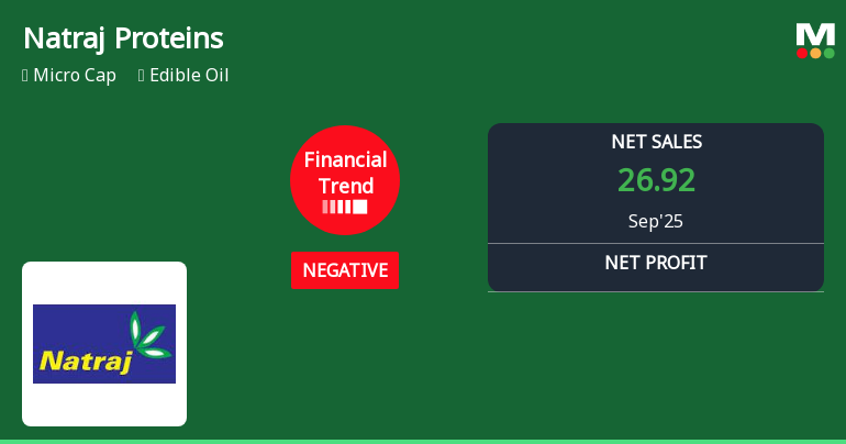 Natraj Proteins Faces Financial Challenges Amidst Operational Efficiency Gains