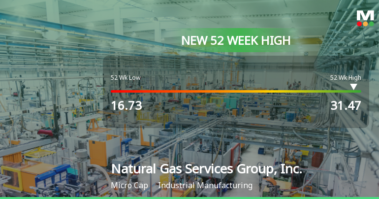 Natural Gas Services Group Hits New 52-Week High at $31.47