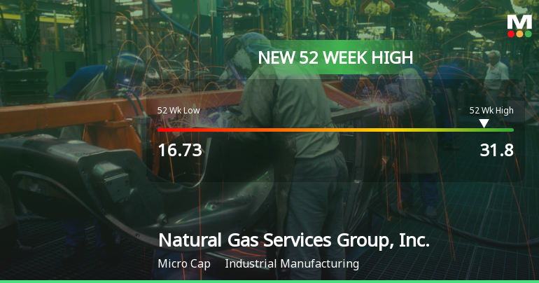 Natural Gas Services Group Hits New 52-Week High of $31.80