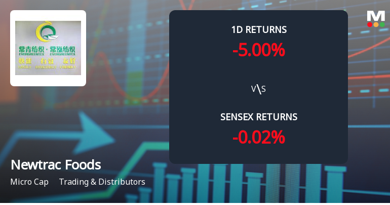 Newtrac Foods & Beverages Ltd Faces Significant Selling Pressure with 30.12% Year-to-Date Loss