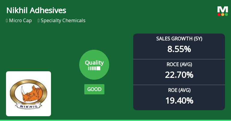 Nikhil Adhesives Receives Quality Grade Upgrade Amid Strong Financial Performance Metrics