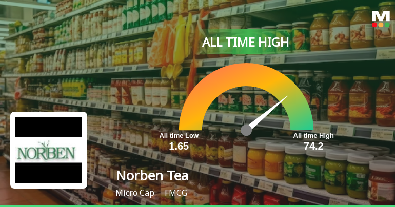 Norben Tea & Exports Hits All-Time High at Rs.74.2, Marking a Remarkable Rally