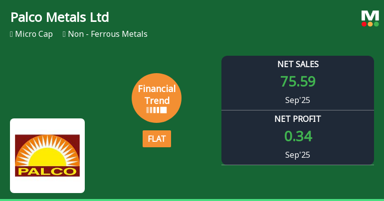 Palco Metals Faces Financial Challenges Amidst Strong Revenue Performance and Volatility