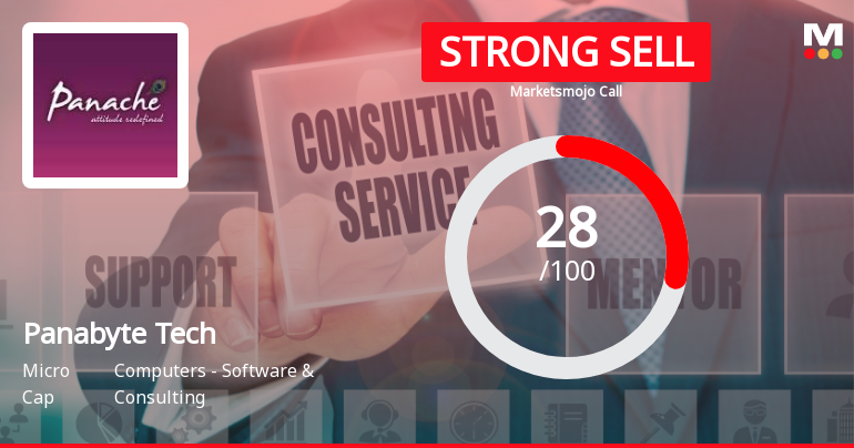 Panabyte Technologies: Analytical Review Highlights Key Shifts in Market and Financial Metrics