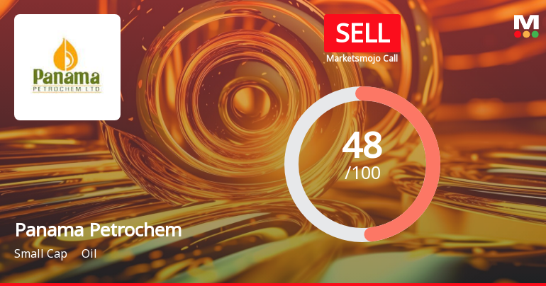 Panama Petrochem’s Evaluation Revised Amid Mixed Financial and Market Signals