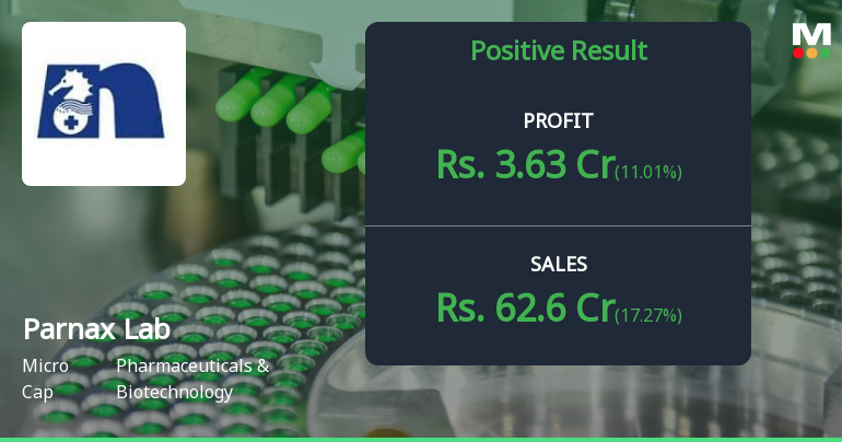 Parnax Lab Q2 FY26: Strong Revenue Surge Masks Margin Pressures
