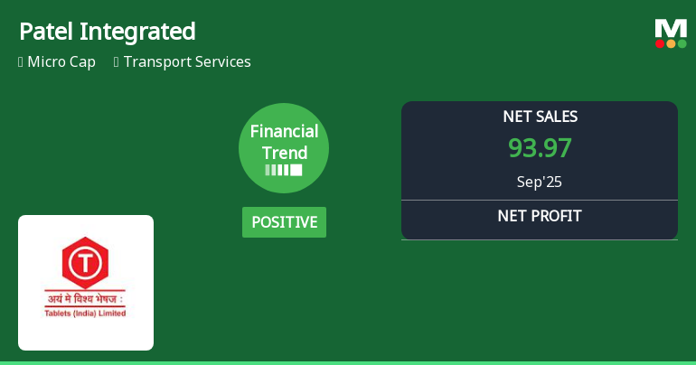 Patel Integrated Logistics Reports Strong Financial Metrics Amid Mixed Stock Performance