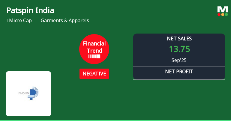 Patspin India Faces Financial Strain Amidst Revenue Growth and Operational Challenges