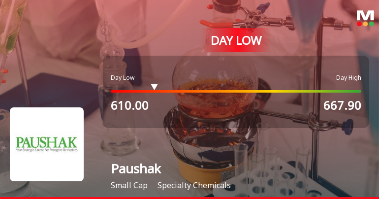 Paushak Stock Hits Day Low of Rs 611.7 Amid Price Pressure