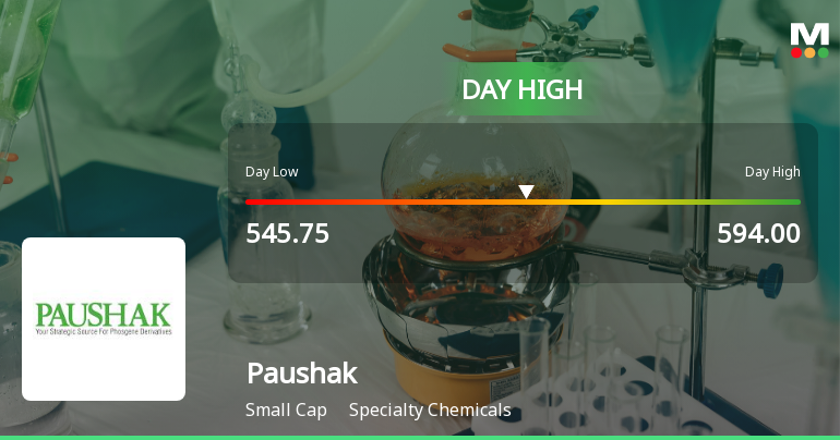 Paushak Hits Intraday High with Strong 9.1% Surge in Specialty Chemicals Sector