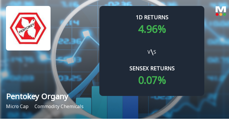 Pentokey Organy (India) Faces Intense Selling Pressure Amid Lower Circuit Lock