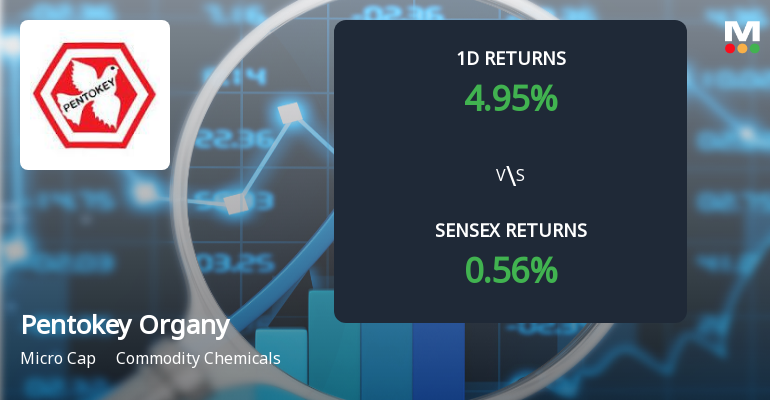 Pentokey Organy (India) Faces Intense Selling Pressure Amid Lower Circuit