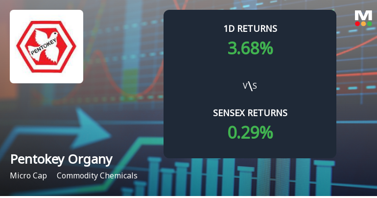 Pentokey Organy (India) Faces Intense Selling Pressure Amid Lower Circuit Lock