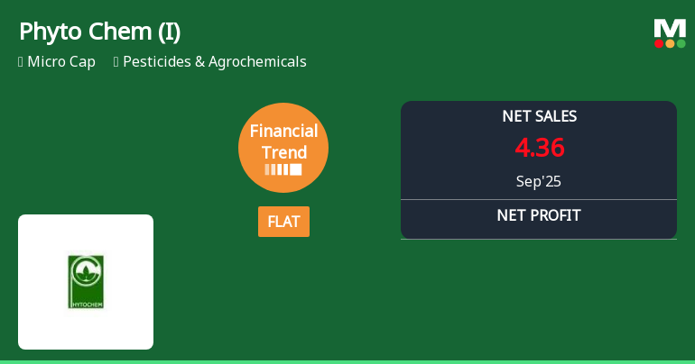 Phyto Chem Faces Sales Decline Amidst Stabilization in Financial Metrics