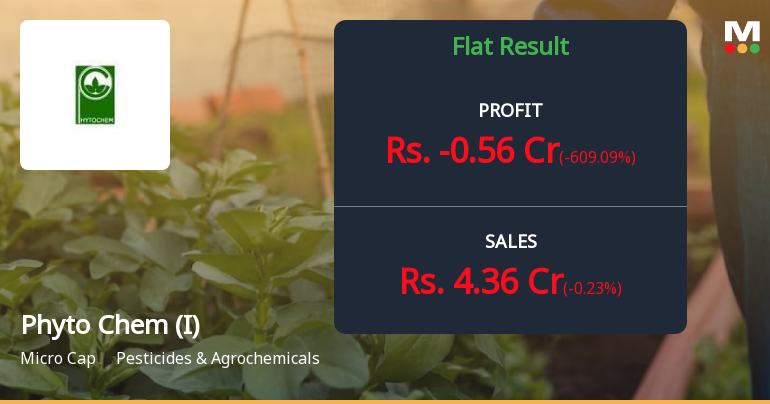 Phyto Chem (India) Q2 FY26: Mounting Losses Signal Deepening Operational Crisis